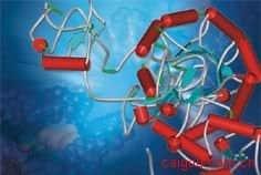 大分子的生物制剂结合高压氧治疗会发挥更好的疗效