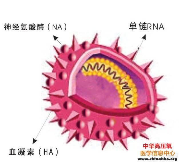 我国已发现14例人感染H7N9禽流感病例 5人死亡