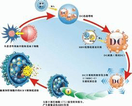 氧气治疗癌症！Science医学新突破