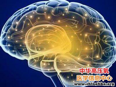 刺激丘脑网状核 胆碱能纤维可促进睡眠