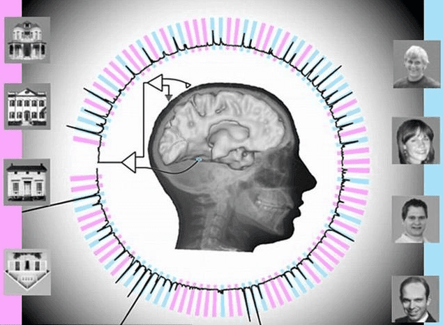 我还有隐私吗？——读脑软件系统能实时解码大脑信息精确率95%