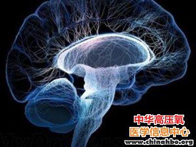 美国科学家计划对脑死亡患者进行技术性“复活”