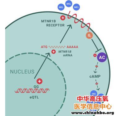 改善睡眠的保健品可能增加糖尿病患病风险