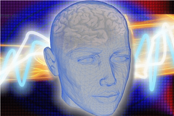 科学家找到大脑负责意识的关键区域