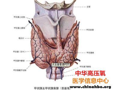 “甲亢”不影响高压氧治疗