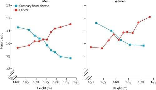 我矮怎么了？——身高更高的人更容易患上癌症