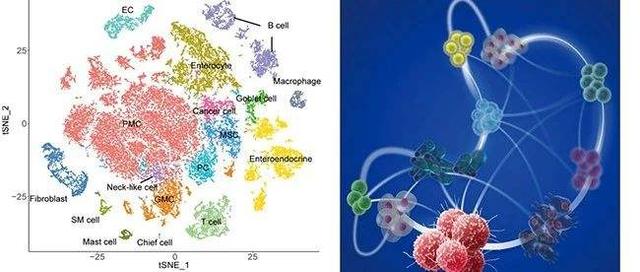 99%的已发表的生物医学研究是科学垃圾!