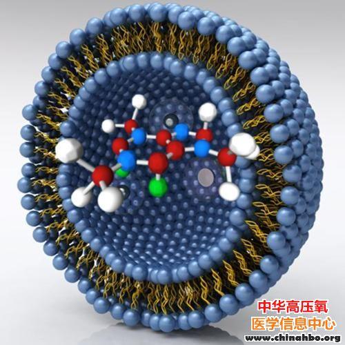 科学家实现高效脑靶向药物递送