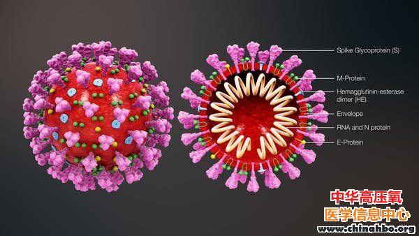 震惊！竟有78%的新冠病毒携带者没有任何症状，这可能意味着什么？