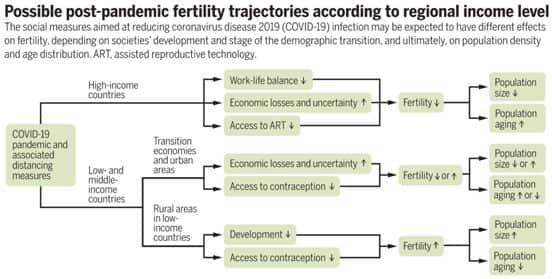 Science：在COVID-19大流行期间，生育率可能会下降