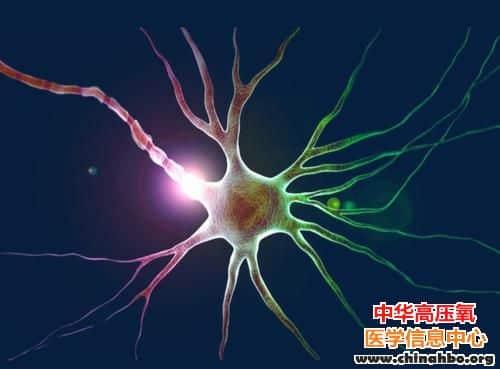 神经退行性变终于有药可治了！Science 发文