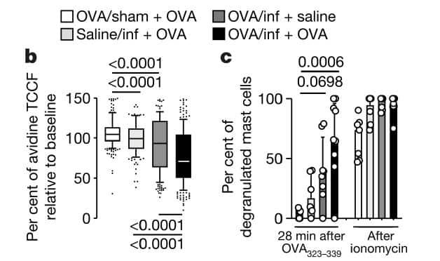 吃完东西肚子疼？Nature发文：可能是肠胃局部过敏了