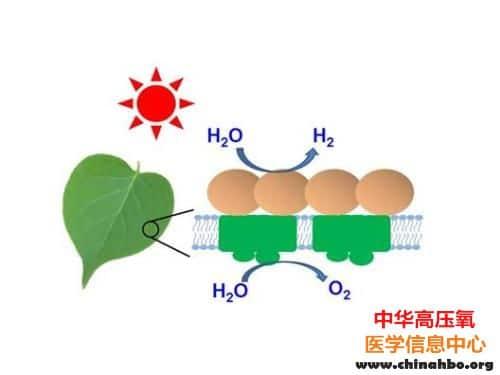 中国科学家发现行星早期氧气或来自水分子光解