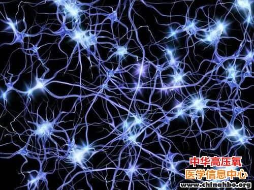 多篇 Nature 论文：神经科学家完成第一个全面脑细胞图谱