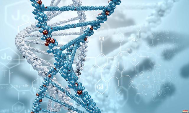 研究发现利用氧化修复DNA损伤的新机制