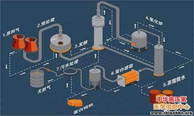 空气变食物：中国科学家实现从一氧化碳到蛋白质的人工合成