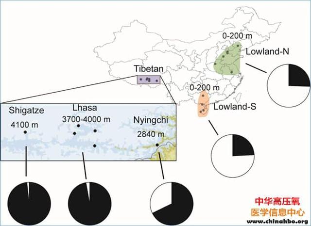 Nature子刊：糖的有效利用对克服低氧应激有重要的作用