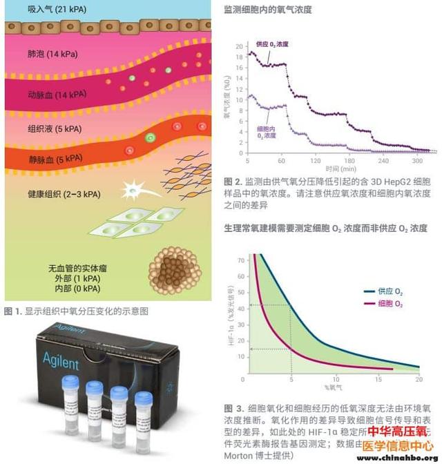 MitoXpress Intra——你的细胞到底有多少氧可以利用？[