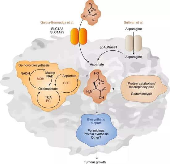 Science：缺氧与肿瘤细胞行为关联新解