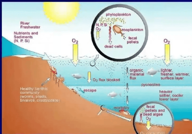 远古海洋可能极度缺氧 生物进化缓慢有因